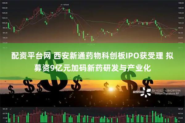 配资平台网 西安新通药物科创板IPO获受理 拟募资9亿元加码新药研发与产业化
