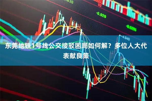 东莞地铁1号线公交接驳困局如何解？多位人大代表献良策