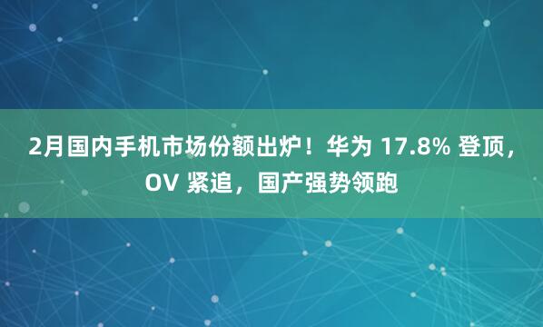 2月国内手机市场份额出炉！华为 17.8% 登顶，OV 紧追，国产强势领跑