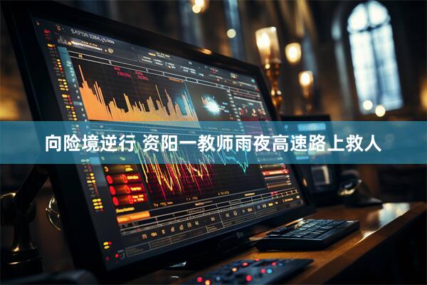 向险境逆行 资阳一教师雨夜高速路上救人
