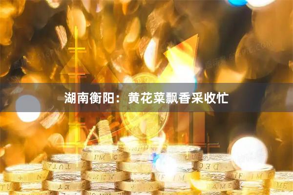 湖南衡阳：黄花菜飘香采收忙
